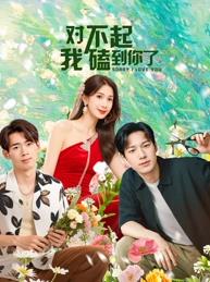 对不起，我磕到你了(全集)