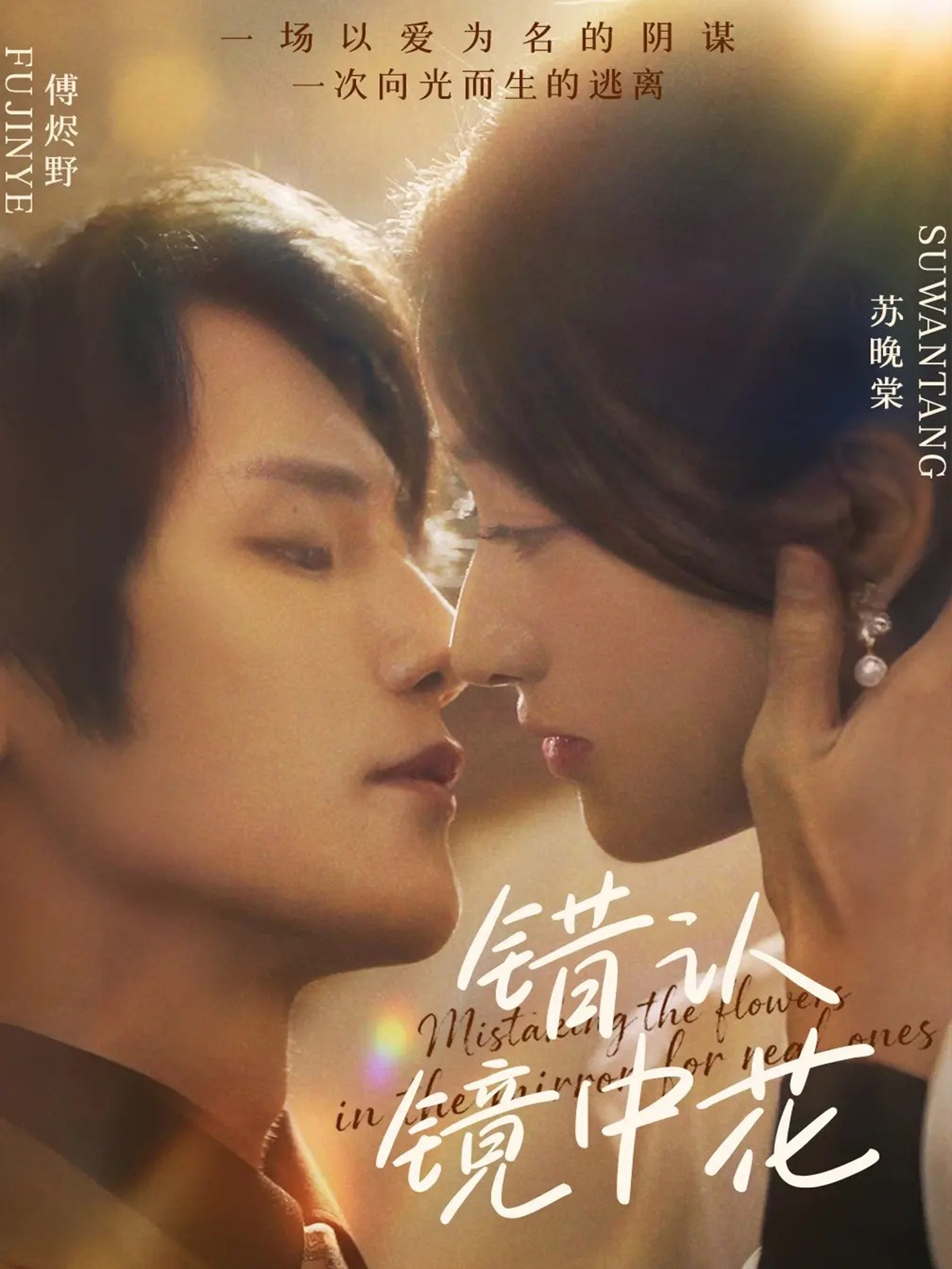 错认镜中花(全集)