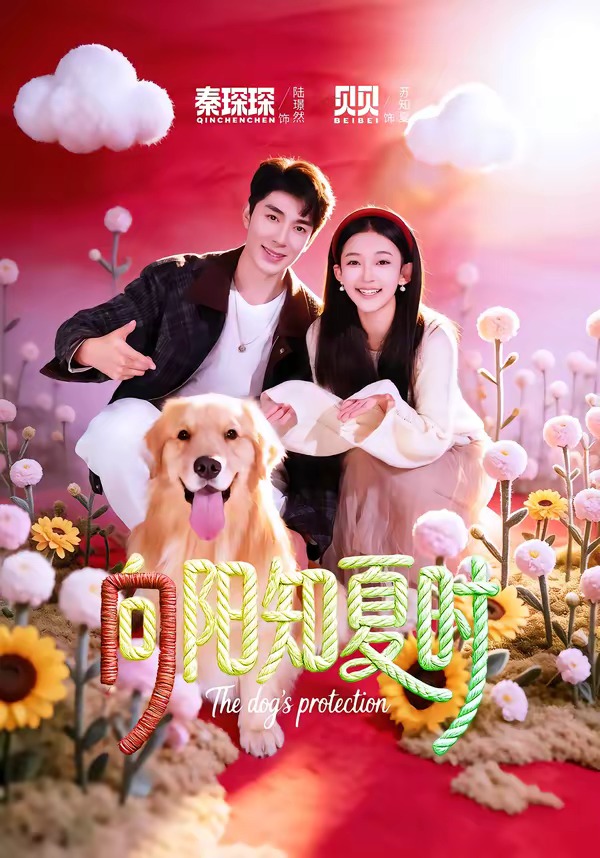 向阳知夏时(全集)